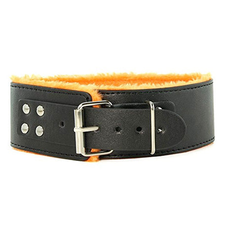 Orange Is The New Black Short Leash