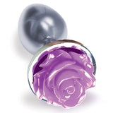 The 9s The Silver Starter Bejeweled Stainless Steel Plug