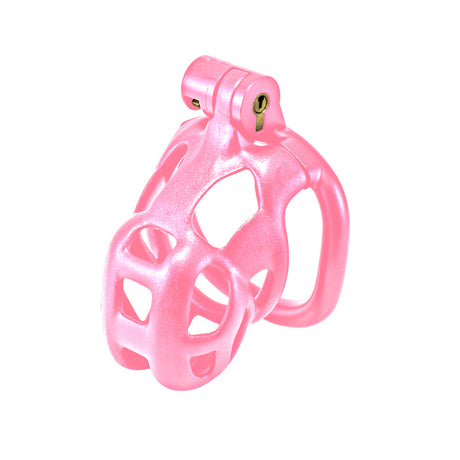 Original Locking Cock Cage