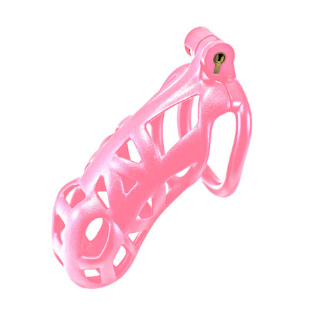 Original Locking Cock Cage