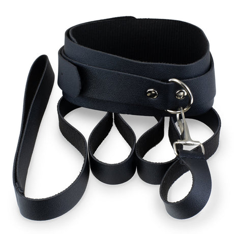 Collar and Leash Set