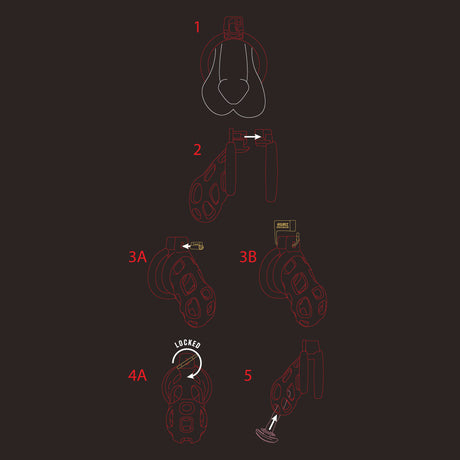 Asylum Cock Cage