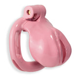Pansy Cock Cage