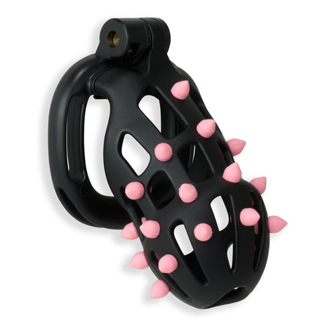 Prick Cock Cage