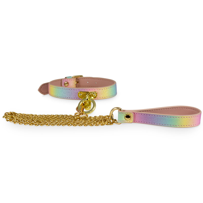Leash & Collar