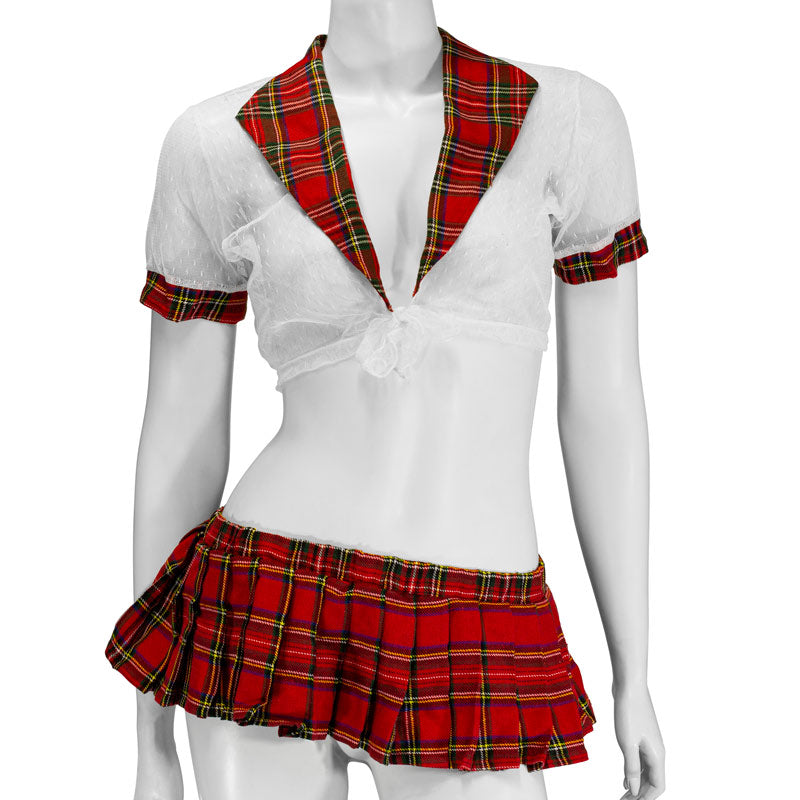 Schoolgirl Uniform The Librarian