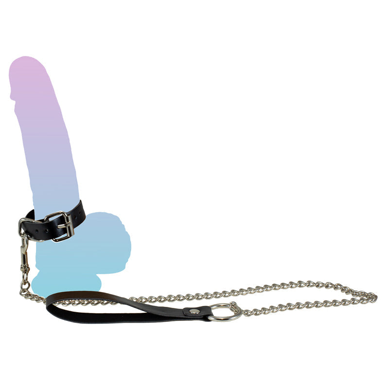 Good Boy Cock Ring & Leash - Packed In Sealed Foil Bags