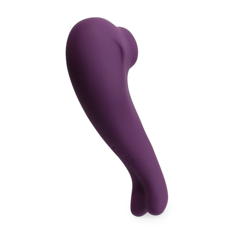 Tracy's Dog Stimulator