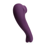 Tracy's Dog Stimulator