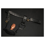 Mr S Leather Deluxe Locking Buttplug Harness