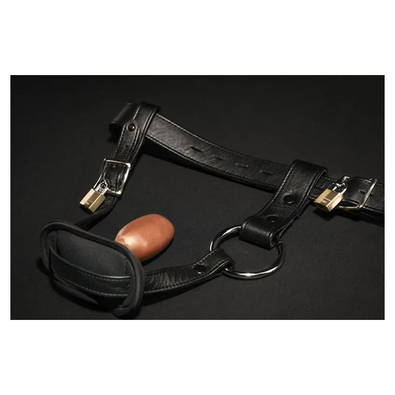 Mr S Leather Deluxe Locking Buttplug Harness