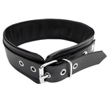 Rouge Garments PVC Collars