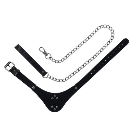 Velvet Noir Collar & Leash