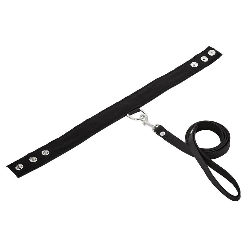SportSheet Leather Leash & Collar