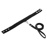 SportSheet Leather Leash & Collar