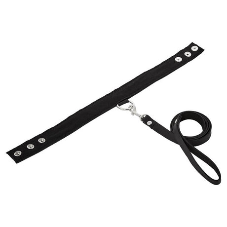 SportSheet Leather Leash & Collar
