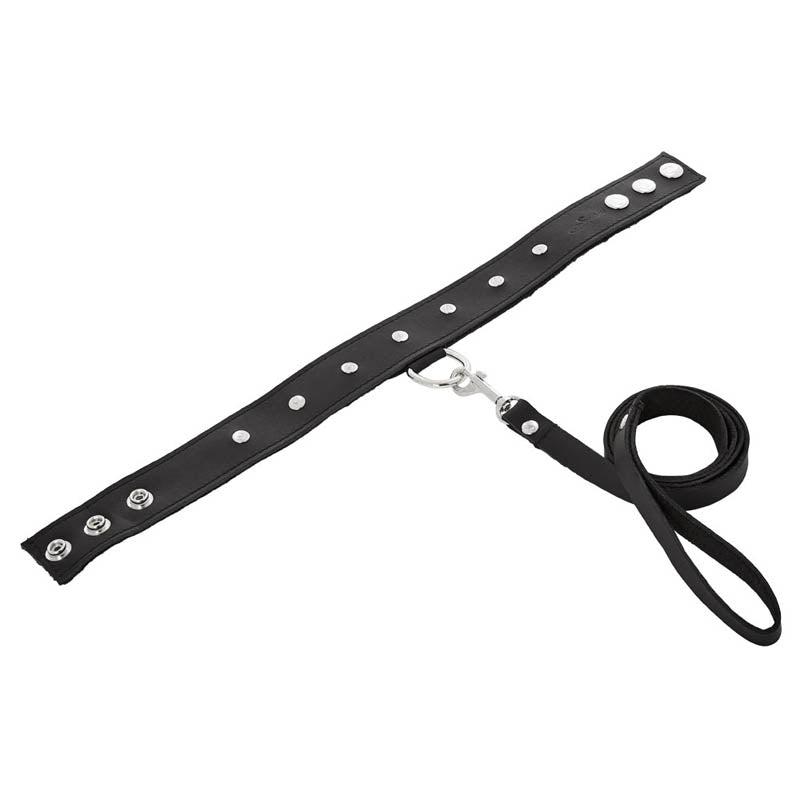 SportSheet Leather Leash & Collar