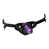 SportSheet Anal Explorer Kit