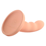 Sportsheet Ren - 6 Inch Suction Cup Dildo