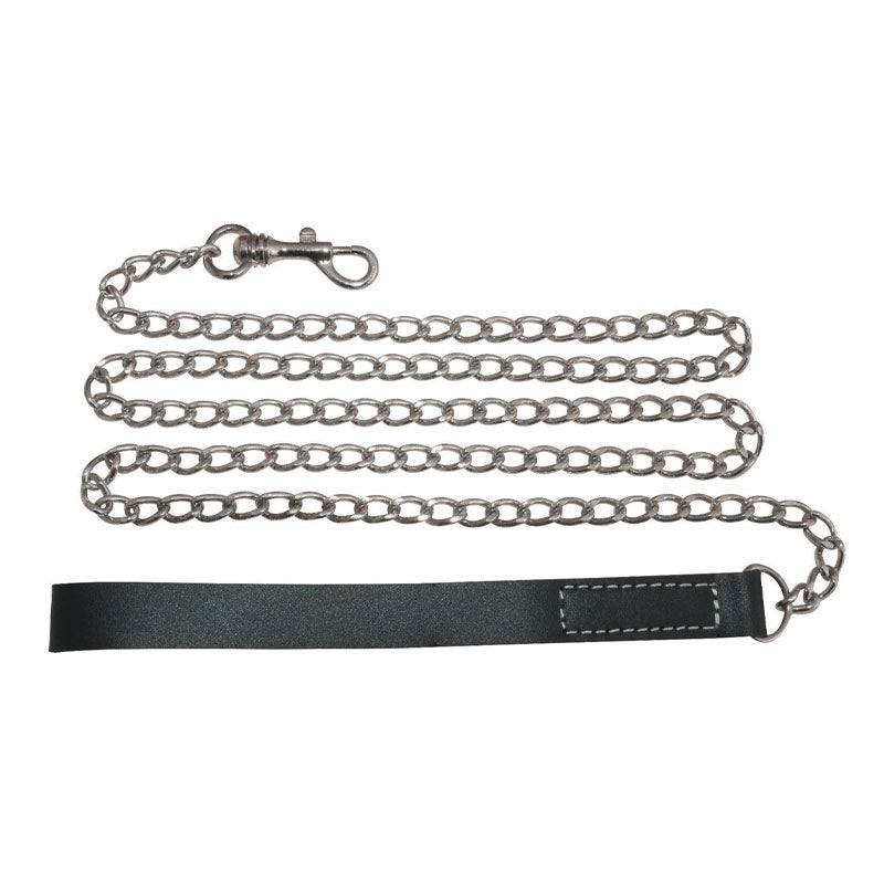 Chain Leash