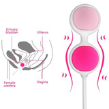Topco Kegel Balls