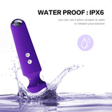 Aurora Wand Massager