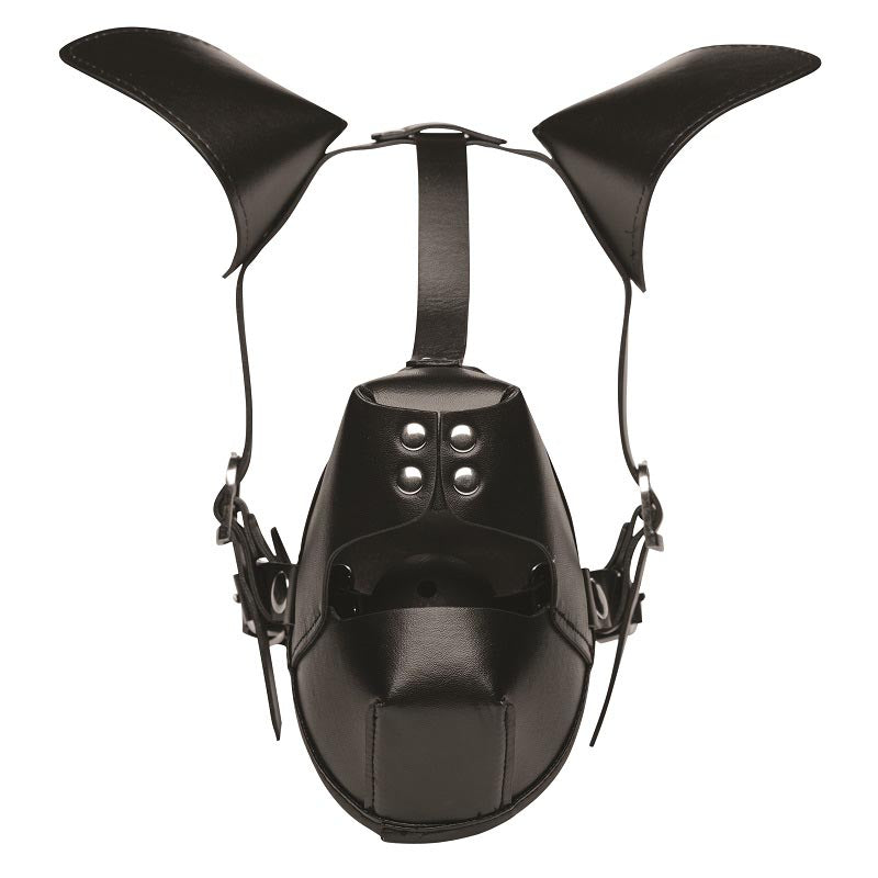 Pup Puppy Play Hood + Breathable Ball Gag