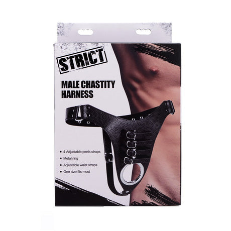 Male Chasity Harness