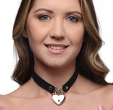 Lock-It Heart Lock and Key Choker