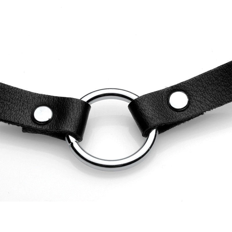 Lush Pet Silver Ring Slim Choker